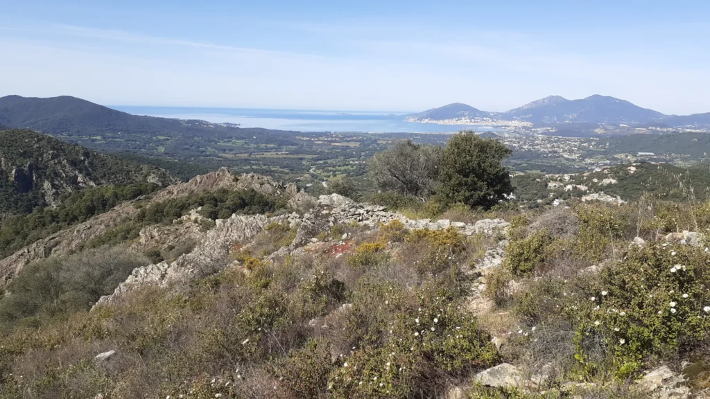 vue du golfe d'ajaccio depuis la rocca à cauro